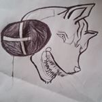 Profile Picture of wolf (@marshall.drew.a) on Instagram