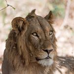Profile Picture of Thomas Höhner (@hoehnerth) on Instagram