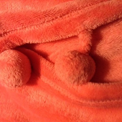 Profile Picture of Lula Bradley (@lmbradley43) on Twitter