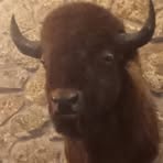 Profile Picture of Leonard Chayer (@Leonard-Chayer) on Facebook