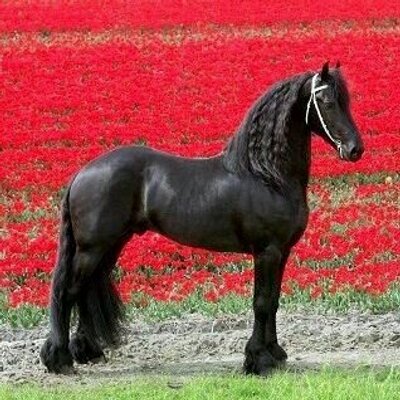 Profile Picture of Luis Corzo (@luiscorzo33) on Twitter