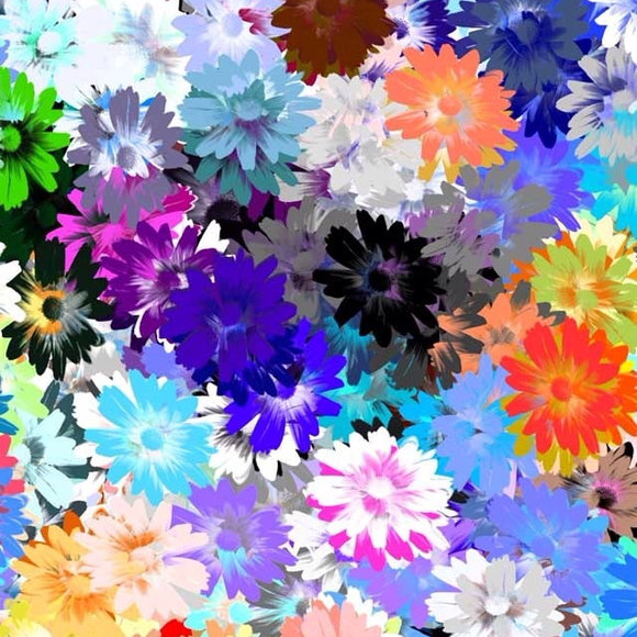 Profile Picture of Taylor Holzhauer (@tayholz) on Poshmark