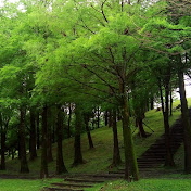 Profile Picture of Andy Lin (@AndyLin99) on Youtube