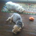 Profile Picture of Harold Winters (@winters.harold) on Instagram