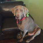 Profile Picture of Baylor Max Smith (@baylormaxsmith) on Instagram