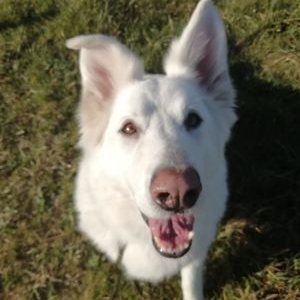 Profile Picture of Kim Albers (@kimalbers6) on Twitter