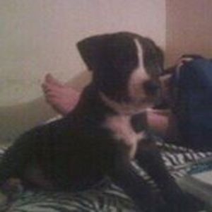 Profile Picture of Reginald Moten (@reginald.moten.90) on Myspace