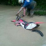 Profile Picture of Adam domski (@adamdoms07) on Instagram