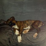 Profile Picture of Kyle Zeller (@zellerkyle) on Instagram