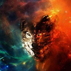 Profile Picture of Mitchell Caleb (@mitchellcaleb) on Tiktok