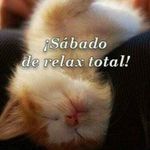 Profile Picture of Ruben Colin (@bladimir.gonzalez.52687) on Instagram