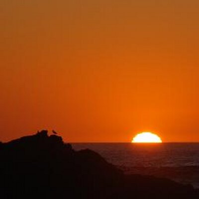 Profile Picture of Anders Gustafson (@AndersNNM) on Twitter