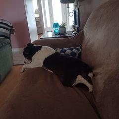 Profile Picture of kimmtru (@kimmtru) on Tiktok