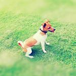 Profile Picture of Maria Pretorius (@pretoriusmaria325) on Instagram