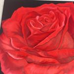 Profile Picture of Isabel Weaver (@isabel_weaver_art) on Instagram