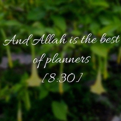 Profile Picture of Daughter Of Islam (@Abeeha777Khan) on Twitter