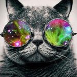 Profile Picture of Александр_Мурадимов (@skrudji53) on Instagram