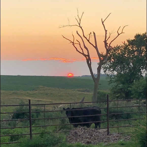 Profile Picture of Lilie Vansice (@lilie_vansice) on Poshmark