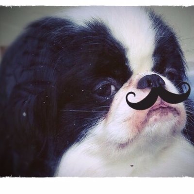 Profile Picture of トニーえいこさん (@tony_sun_Q) on Twitter