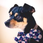 Buddy Peter Burns - Instagram Profile Picture of Buddy Peter Burns (@buddypburns) on Instagram