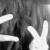 Profile Picture of Cindy Serpas (@174931043) on Myspace