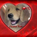 Profile Picture of Julia Beane (@juliabeane) on Pinterest