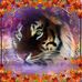 Profile Picture of Ralph Alls (@alls.ralph) on Facebook