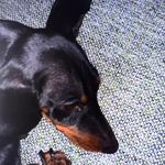 Profile Picture of Adam Fromann (@adamphob) on Instagram