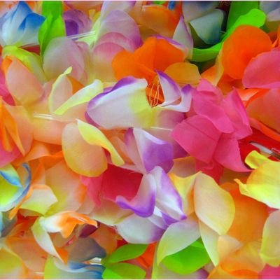 Profile Picture of Kellisha Sharief (@KellishaSharief) on Twitter