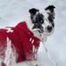 Profile Picture of Debbie Dibble (@debbie.dibble.127) on Facebook