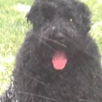 Scott Schelin - Facebook Profile Picture of Scott Schelin (@scott.schelin) on Facebook