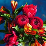 Profile Picture of Kayla Taylor (@kayla.taylor.scholtz) on Instagram