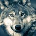 Profile Picture of Charest Alain (@charest.alain) on Facebook