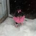 Profile Picture of Chanel Branch (@chanel.branch.792) on Facebook