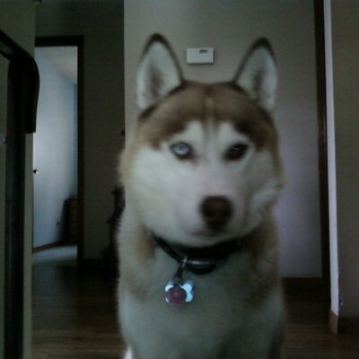 Profile Picture of Cheryl Jarvis (@JARVIS728) on Twitter