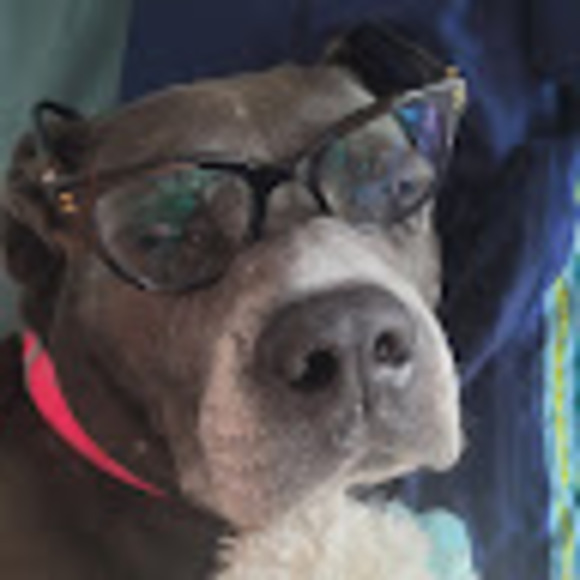 Profile Picture of Isabella Sutherland (@izzybear789) on Poshmark