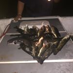 Profile Picture of Cody Hagler (@c.hag63) on Instagram