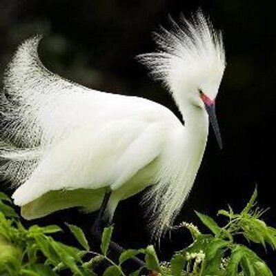 Profile Picture of ABOUHAMZA (@SpcOubaha) on Twitter