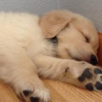 Profile Picture of Chloe Ann Kraft (@Chloe_Ann_2003) on Twitter