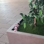 Profile Picture of Clarissa Hodges (@Clarissa-Hodges) on Facebook