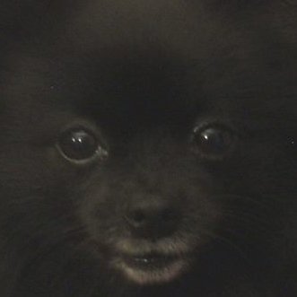 Profile Picture of Teri Hall (@terihall) on Twitter