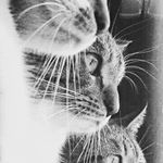 Profile Picture of Francesca (@franci.alaimo) on Instagram