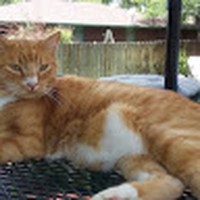 Profile Picture of Barb Conrad (@barb-conrad-4) on Quora