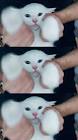 Profile Picture of   Rossana Chiriatti... (@rossanachiriatti) on Tiktok