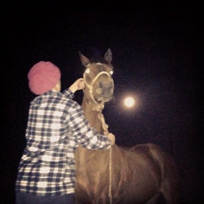 Profile Picture of Carlos Gelpi (@carlosgelpi2) on Twitter