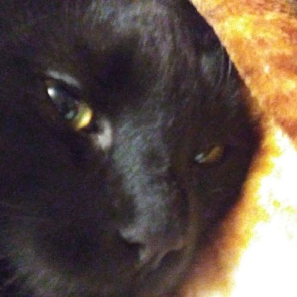 Profile Picture of Kirsten Sweigert (@k_sweigert) on Poshmark