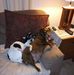 Profile Picture of Shawn Shultz (@shawn.shultz.733) on Facebook