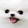 Profile Picture of Joel Unger677 (@@user1050693700856) on Tiktok