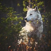 Profile Picture of Amanda Mccloud (@amanda-mccloud-3) on Quora