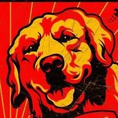 Profile Picture of David C Gerth (@Syddog77) on Twitter